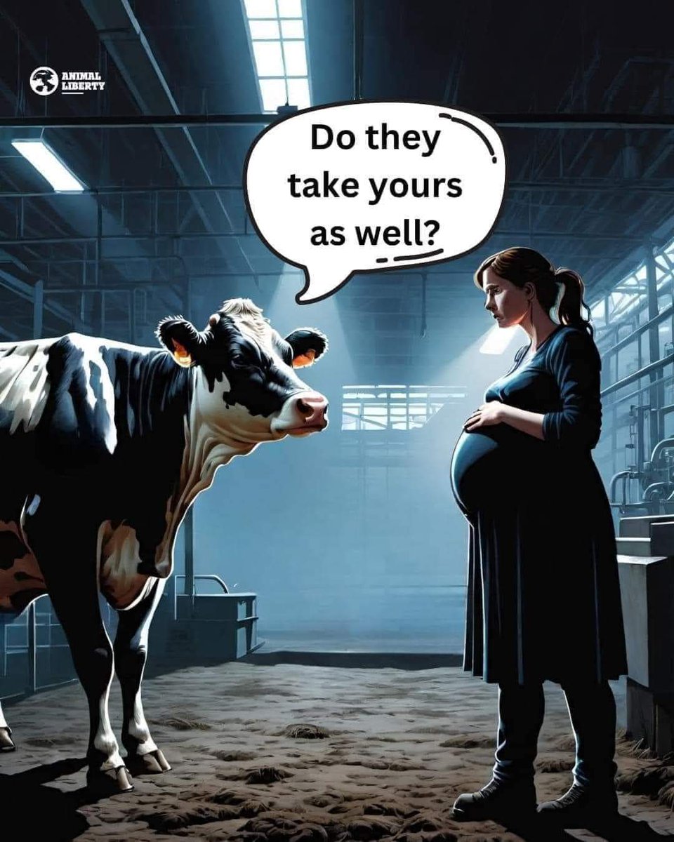 VeganStreaker85's tweet photo. Uiteraard sta ik volledig achter de campagne van @WakkerDier 
Stop de #sloopmelk 
We zullen met de #VeganStrikeGroup binnenkort met een eigen campagne komen voor de moeders&amp;kalfjes die gestolen worden door melkveehouders om jaarlijks 8 tot 12 DUIZEND liter melk van ze te ontnemen https://t.co/v3G2Bw6ZxY