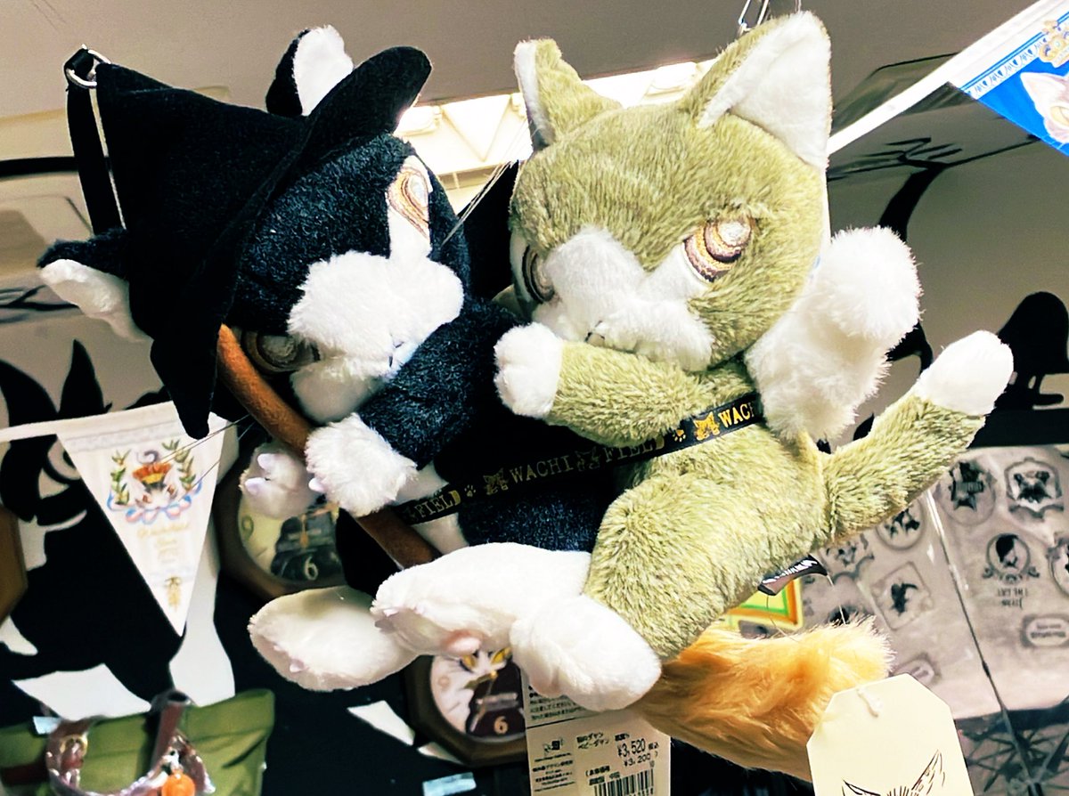 ✿*R*✿様専用 カムイピリカ9kg(3kg×3袋)一生一度は