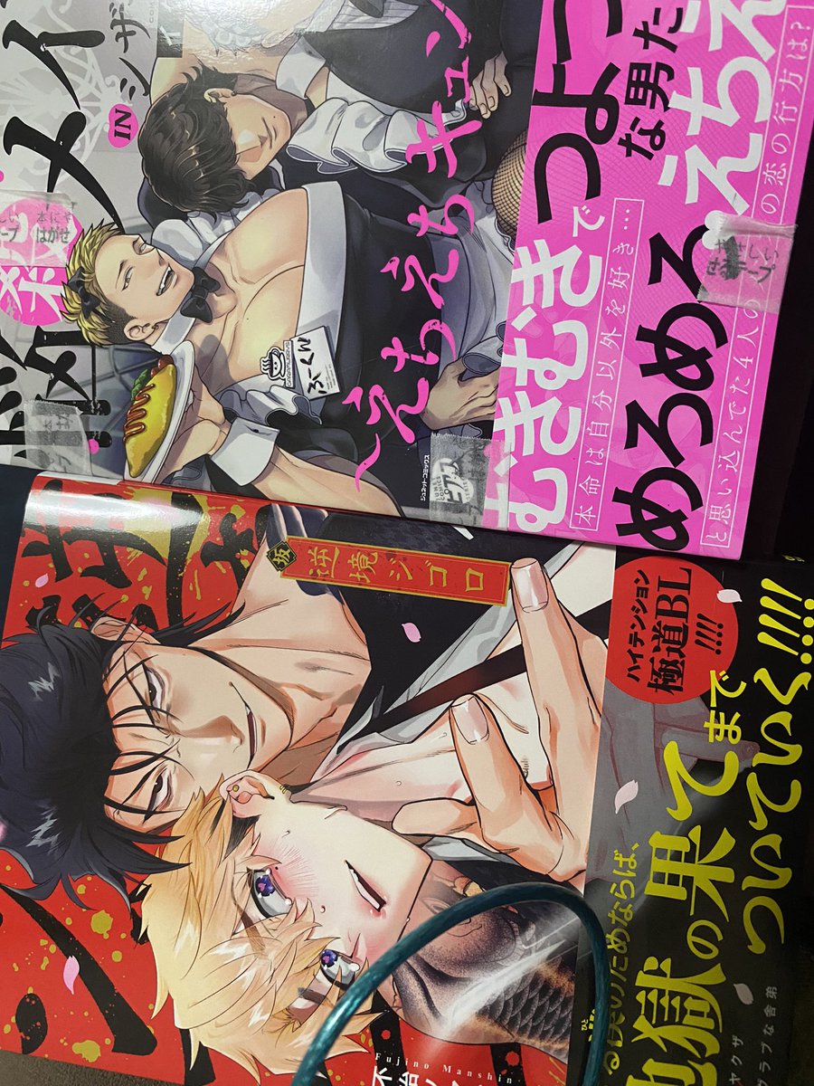 久々に商業買った気がするけど多分1、2ヶ月前に大量買してる 