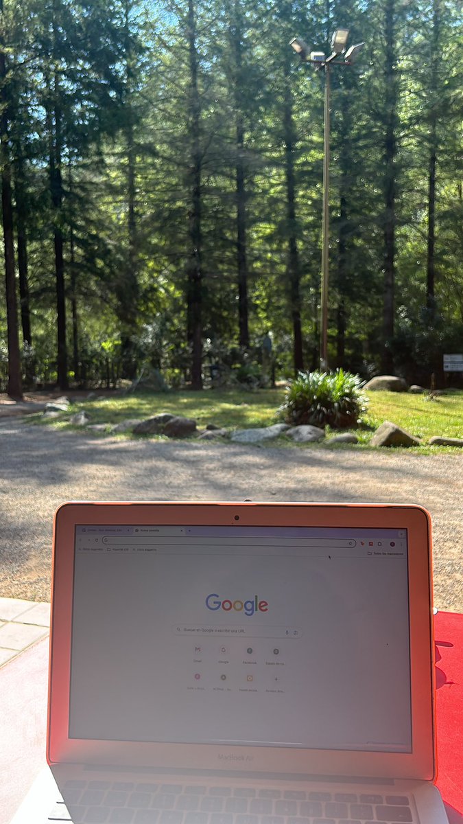 El meu escriptori durant les vacances. Preparant comunicació pel congrés #cnadep 2024 a Alacant, per primera vegada compartiré en públic el nostre treball sobre #masld 

Barreja d’emocions 😳😅😵‍💫😊🤯🥳

<a href="/Infermeria_UB/">Facultat d'Infermeria UB</a> <a href="/icscat/">ICS. Generalitat</a> <a href="/IDIAPJGol/">IDIAPJGol</a>