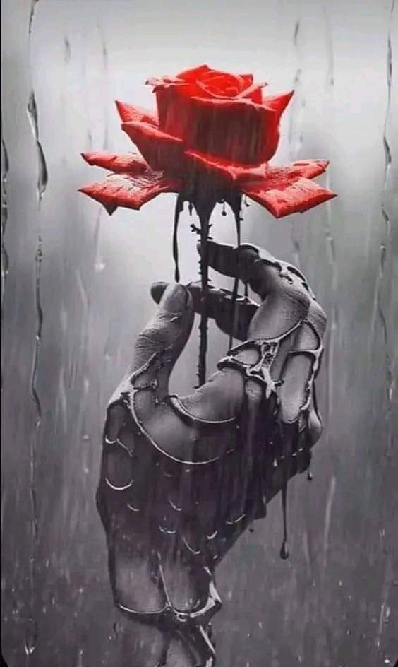 Claudio14815157's tweet photo. @kaianee08 https://t.co/DiDrv65vqC