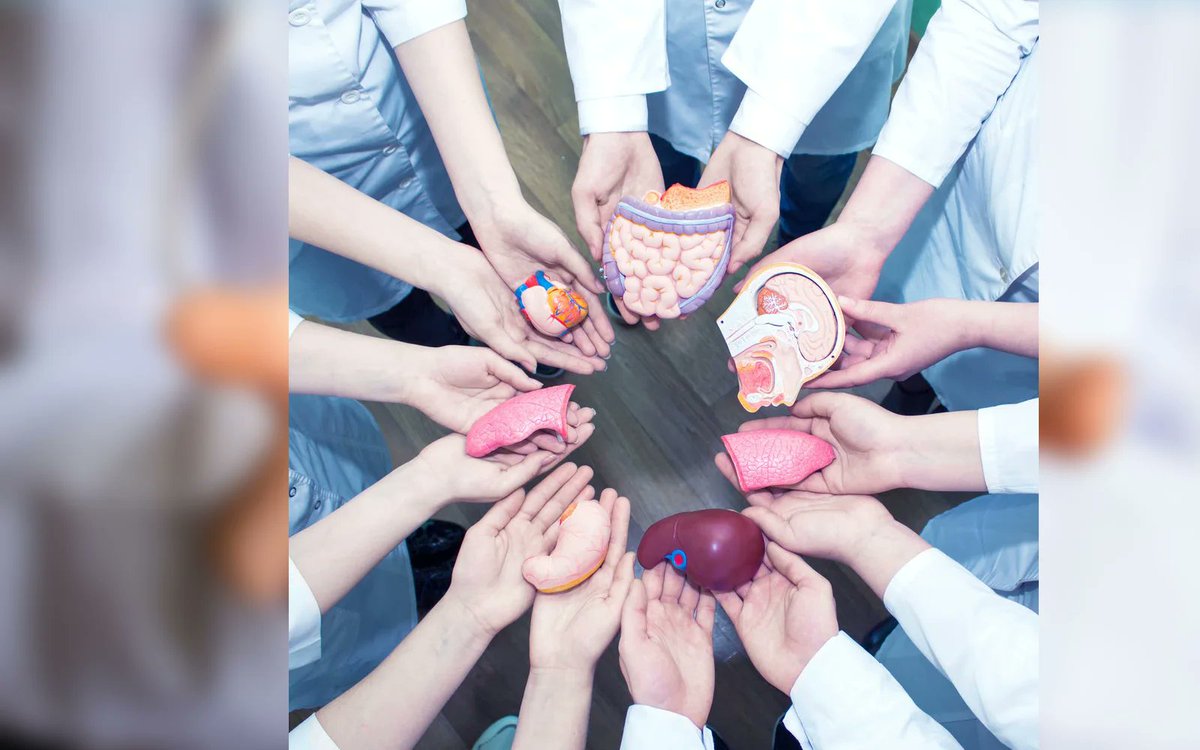 emergencyres's tweet photo. Organ transplantation is a medical procedure in which an organ is removed from one body and placed in the body of a recipient, to replace a damaged or missing organ.
Visit us: https://t.co/ar7XoKqsDG
#organ #transplantation #damage #replace #location #internal #medicine https://t.co/u3xIkAyuqb