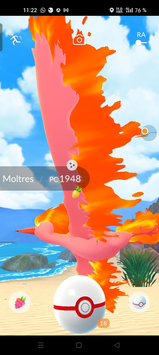 Q14sYT's tweet photo. Incu mañanera 

#PokemonGOApp #ShinyPokemon  #Moltres https://t.co/B3ihHy1JOA