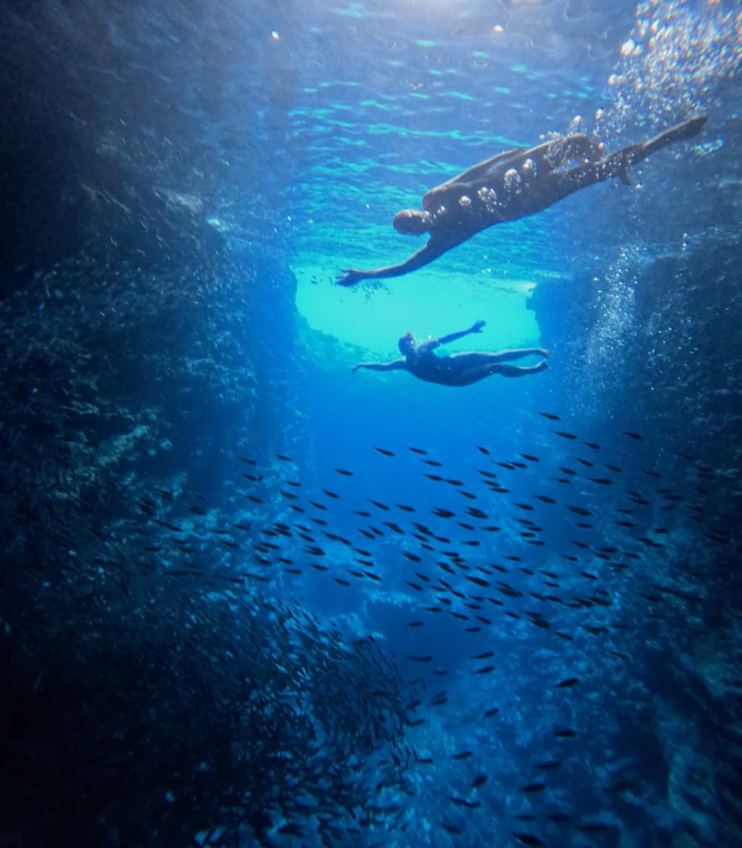 Swim day,… #ossTonga #Tonga #oceanswimsafaris #Pacific #Swim Images by photogriatrix Marty Kendall <a href="/OceanSwimSafari/">oceanswimsafaris</a>