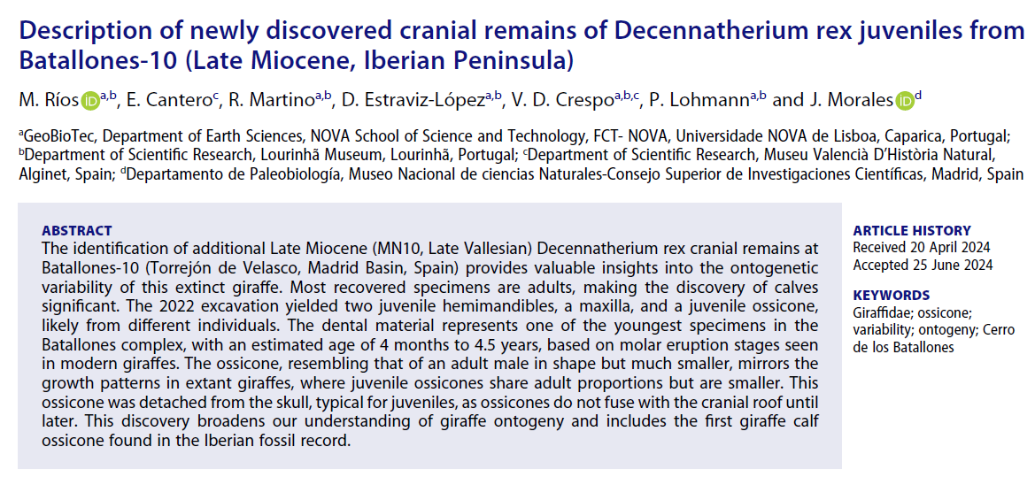 Darío Estraviz López tweet media