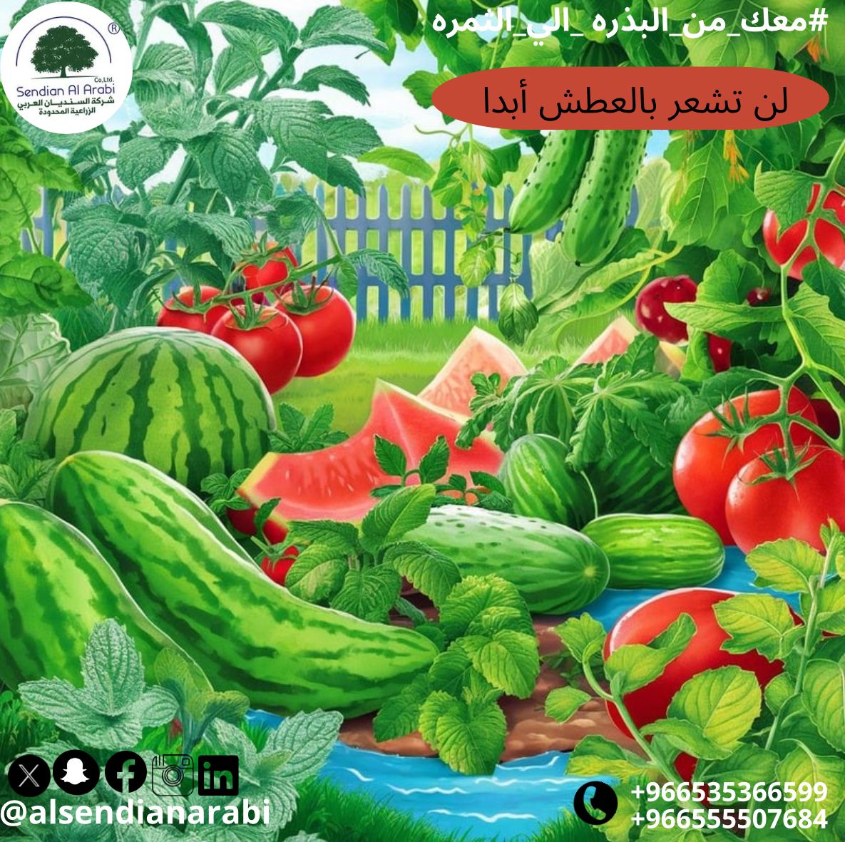 alsendianarabi's tweet photo. لن تشعر بالعطش أبدًا...💦
في الصيف الحر يزيد و العرق يخلي جسمنا يفقد كثير من المياه ، فمهم جدًا نهتم بترطيب جسمنا عشان نقدر نعيش ونواجهه ارتفاع درجات الحرارة، عشان كذا تقدر تحافظ علي ترطيب جسمك من خلال تناول:
الحبحب🍉 
الخيار🥒
الشمام🥝
الخس🥬
#معك_من_البذرة_إلى_الثمرة https://t.co/SMTe34vx7o