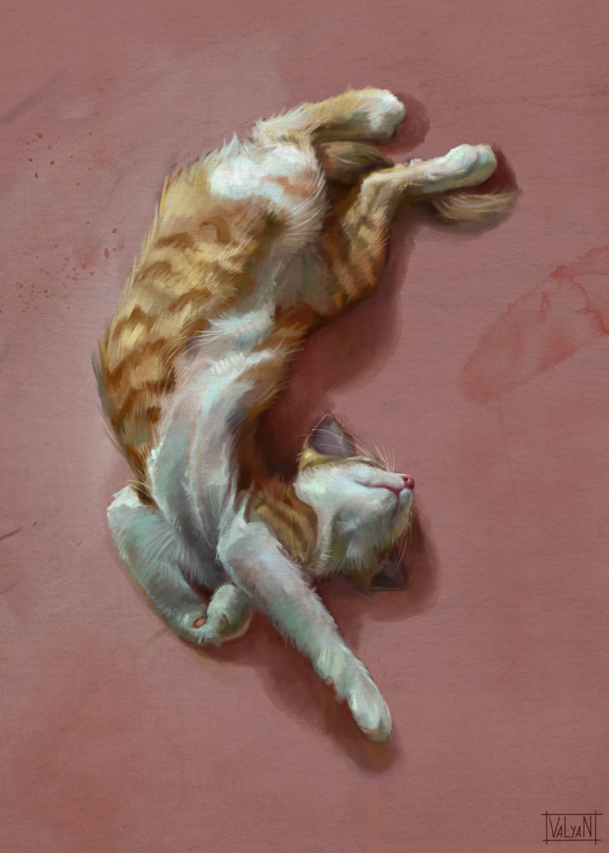 Valya_Narts tweet media