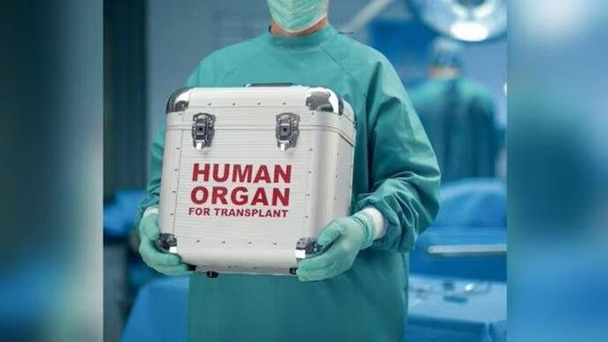 AtalTv_UP's tweet image. Guidelines for Transporting Human Organs: ट्रांसप्लांट के लिए रोगी तक जल्दी पहुंचेगा ऑर्गन, सरकार ने पहली बार ट्रांसपोर्टेशन के लिए जारी की गाइडलाइन

#Guidlines #HumanOrgans #Transporting