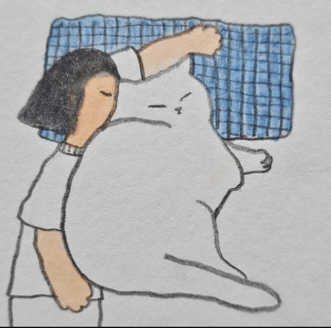 catshealdeprsn's tweet image. 