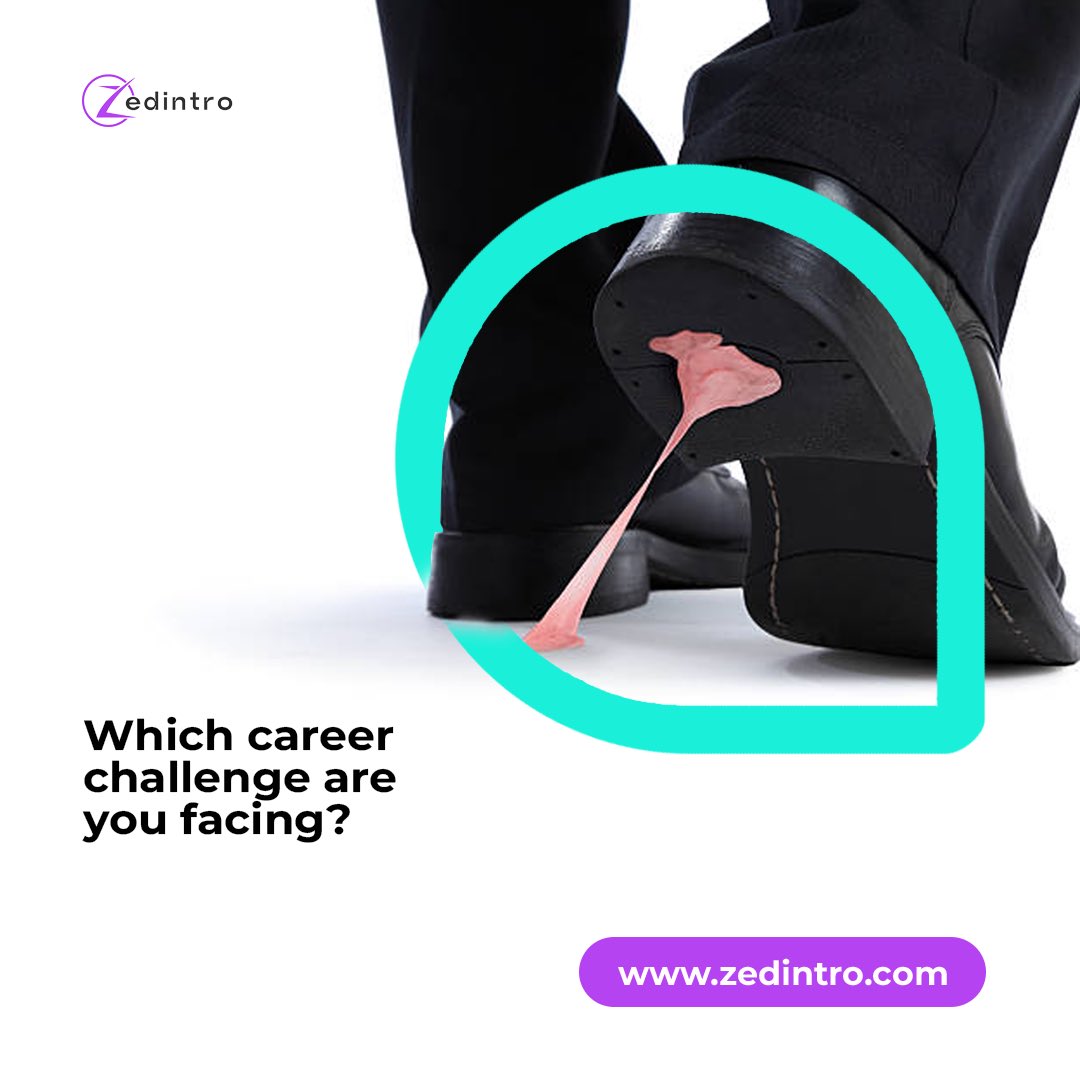 zedintro's tweet image. Find your perfect expert on ZedIntro.

 #careeradvice #experts #zedintro