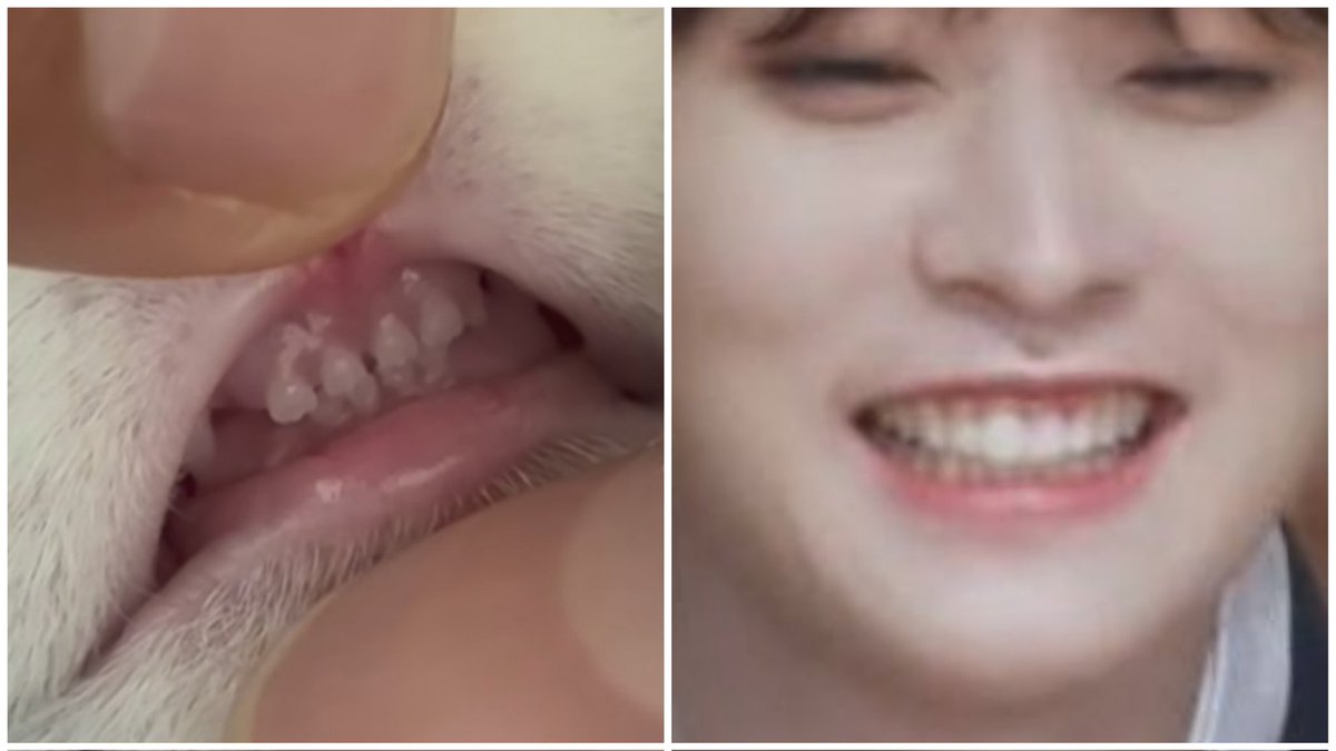 cursedberry's tweet image. Hiks