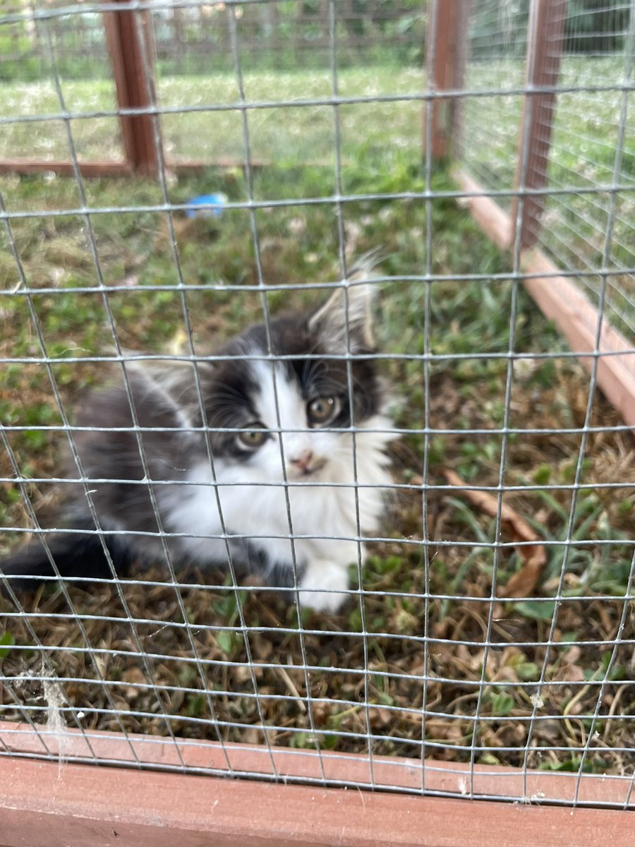 S’attacher en une journée : fait.