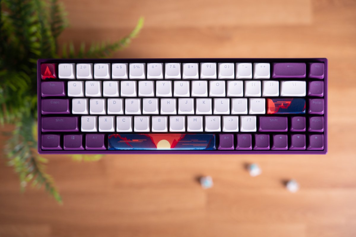 DARK PROJECT tweet media