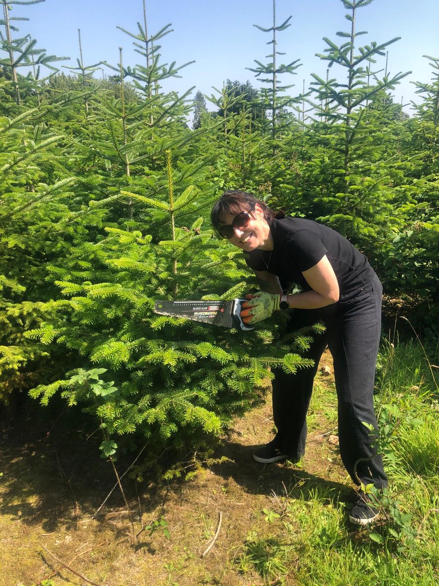 Christmas has come early🎄<a href="/VodafoneUKBiz/">Vodafone Business UK</a> marketing team took a #charity leave day to help out <a href="/EnhamTrust/">Enham Trust</a> in the #Christmas tree fields! Each year, all Vodafone UK permanent colleagues have 5 days to spend #volunteering with a charity they're passionate about. #TogetherWeCan
