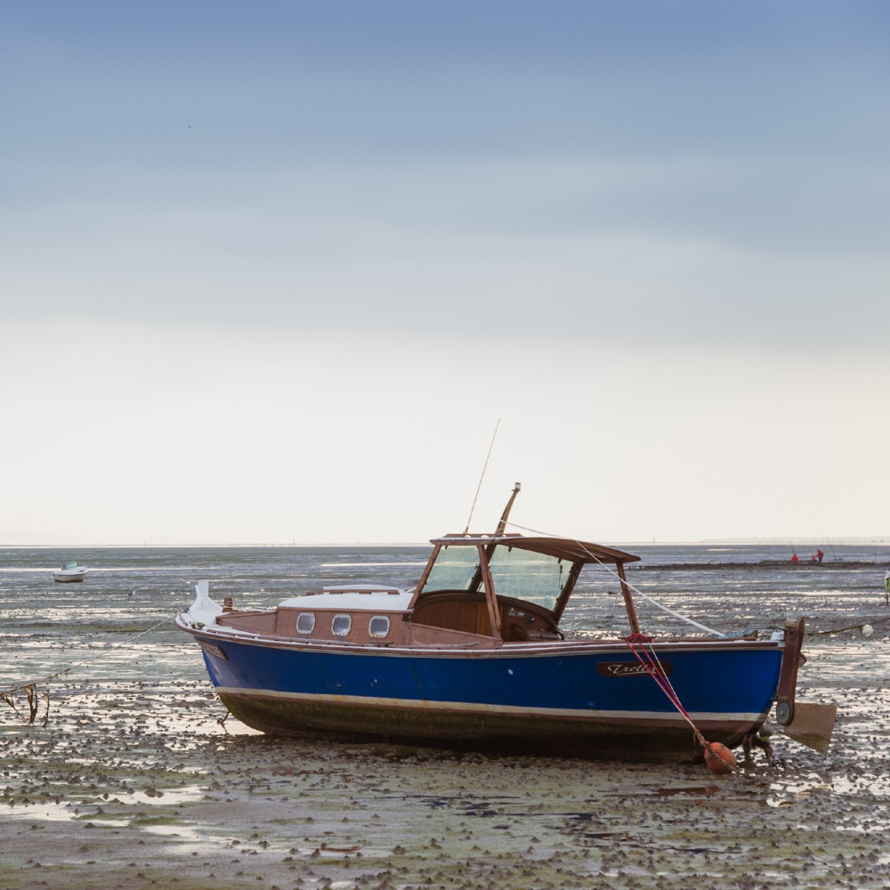 cedriclagarde's tweet photo. La pinasse, marée basse.
Bassin d'Arcachon. 
.
.
.
.
#arcachon #bassinarcachon #gironde #aquitaine #bordeaux #bordeauxmaville #photographe #photographer #bordeauxcity #photographie #nature #bateau #pinasse #ocean #plage #travel #bordeauxtourisme #balade #instagood https://t.co/UIVdeRKZiU