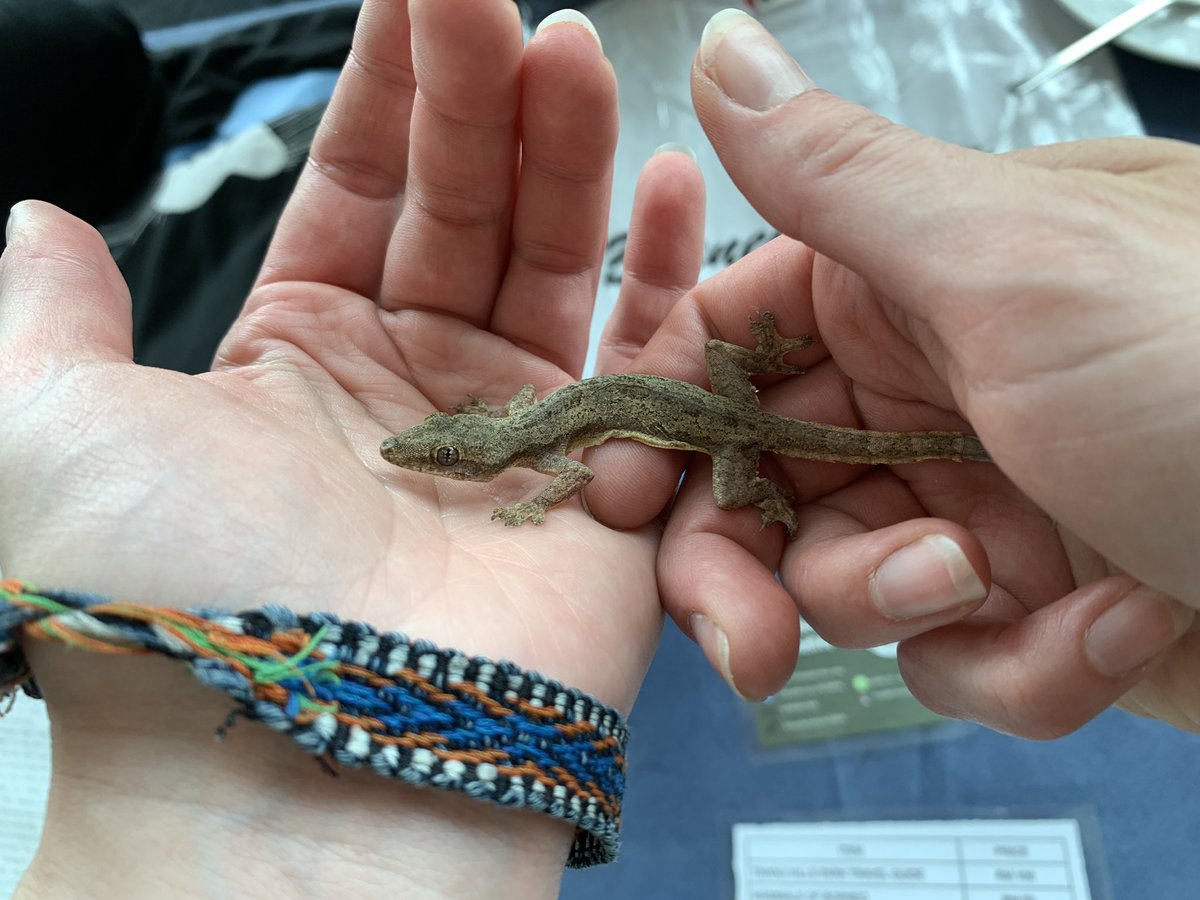 Nicholas Wu tweet media