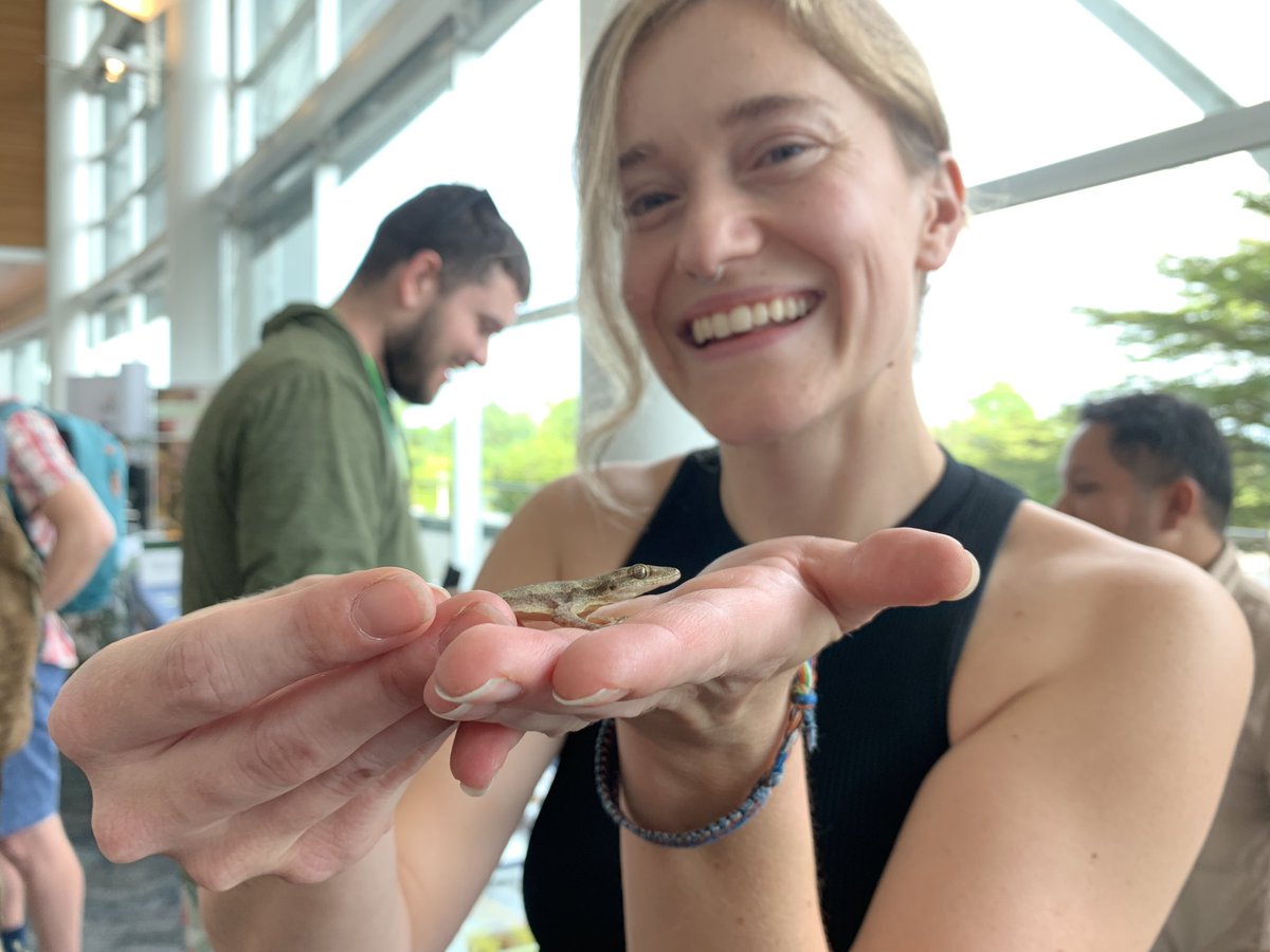 Nicholas Wu tweet media