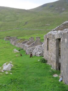 Genealogical Soc Qld tweet media