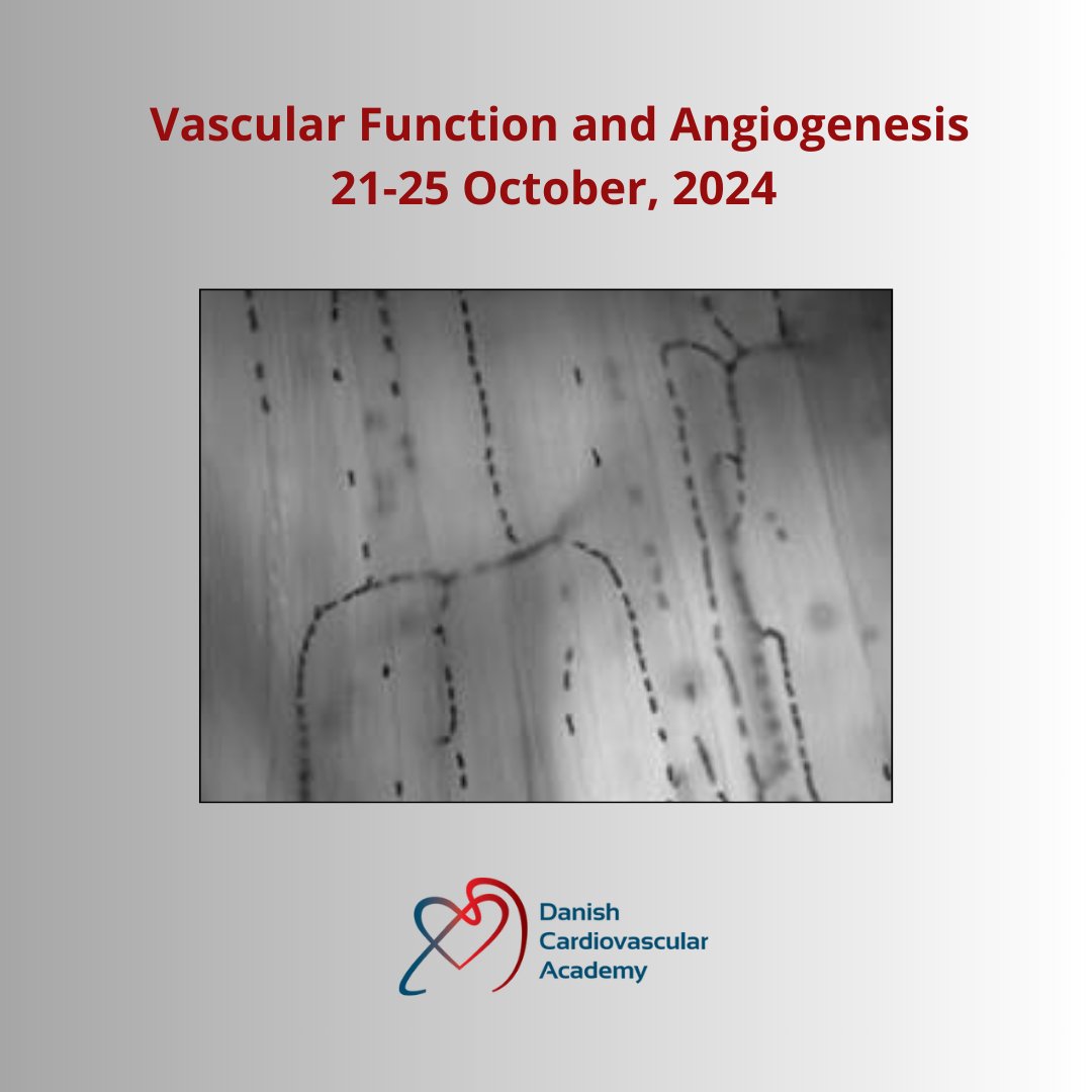 🔍 A CLOSER LOOK AT THE VASCULAR FUNCTION COURSE 🔍

The course is unique in that it has a strong focus on methods for assessing aspects of cardiovascular function in humans🏃‍♀️🫀

👉 Read more and sign up here: shorturl.at/bFhnH