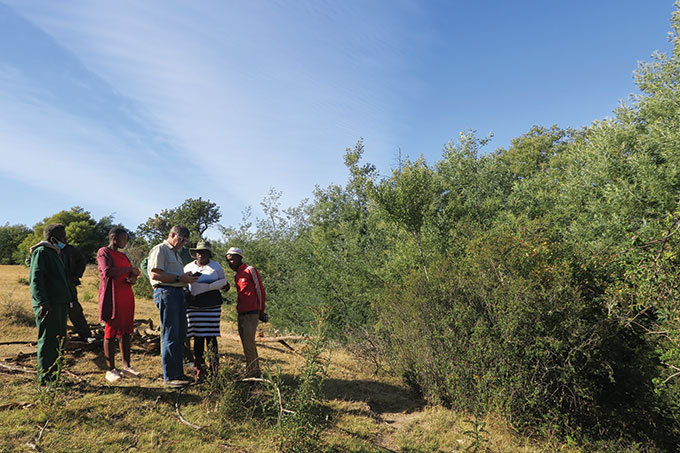 SA Forestry magazine tweet media