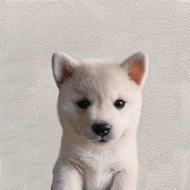 imStrax's tweet photo. @Dior100x $BANE is still barking strong. https://t.co/BdzWVaFNyn
