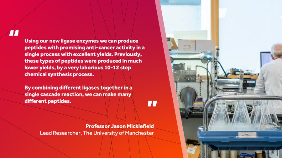 "Using our new ligase enzymes we can produce peptides with promising anti-cancer activity in a single process with excellent yields. Previously, these types of peptides were produced in much lower yields, by a very laborious 10-12 step chemical synthesis process. "By combining different ligases together in a single cascade reaction, we can make many different peptides." Quote from Prof. Jason Micklefield Lead Researcher, The University of Manchester 