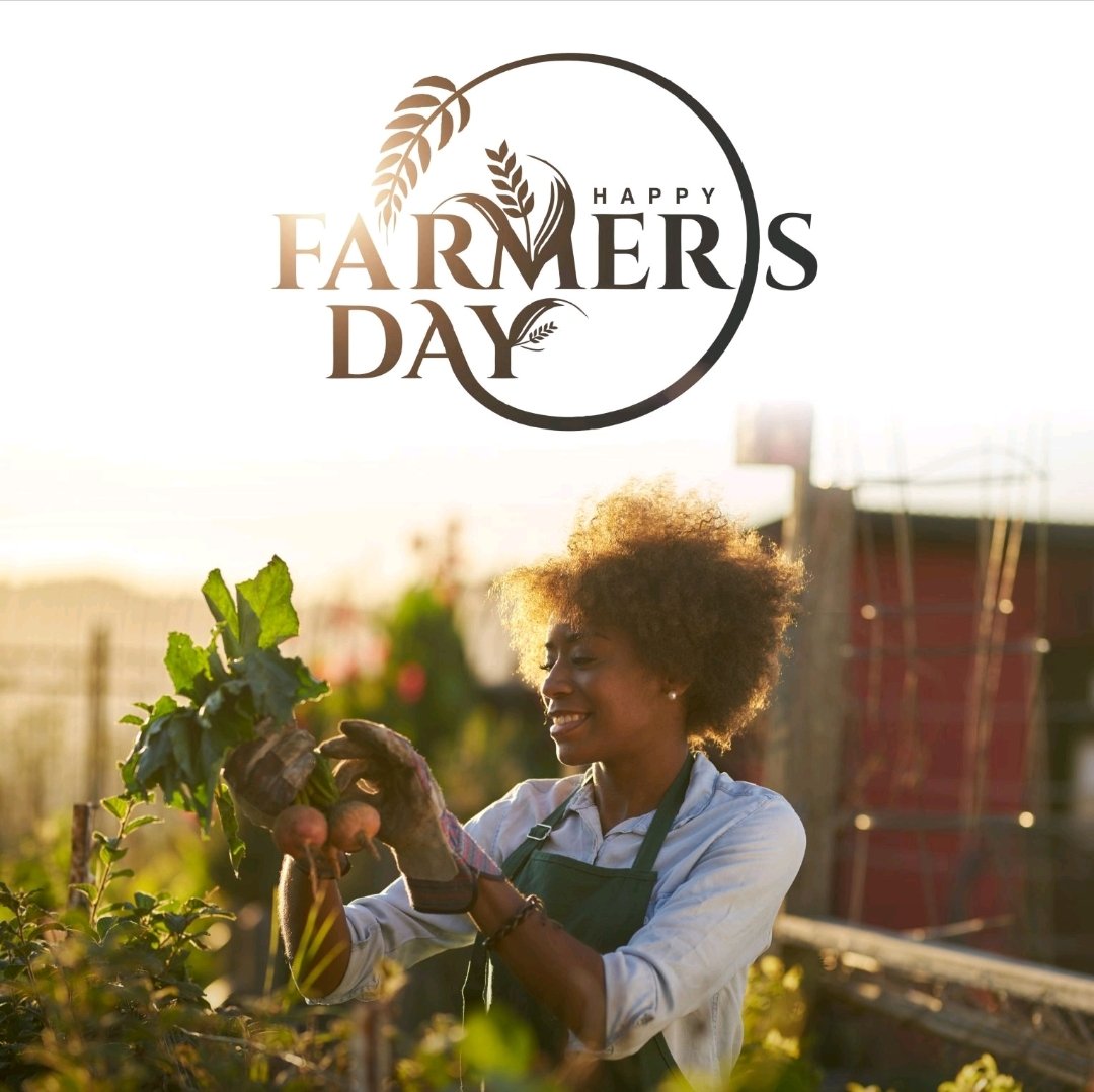We salute you for putting food on our tables
#farmers #day 
#zero #hunger