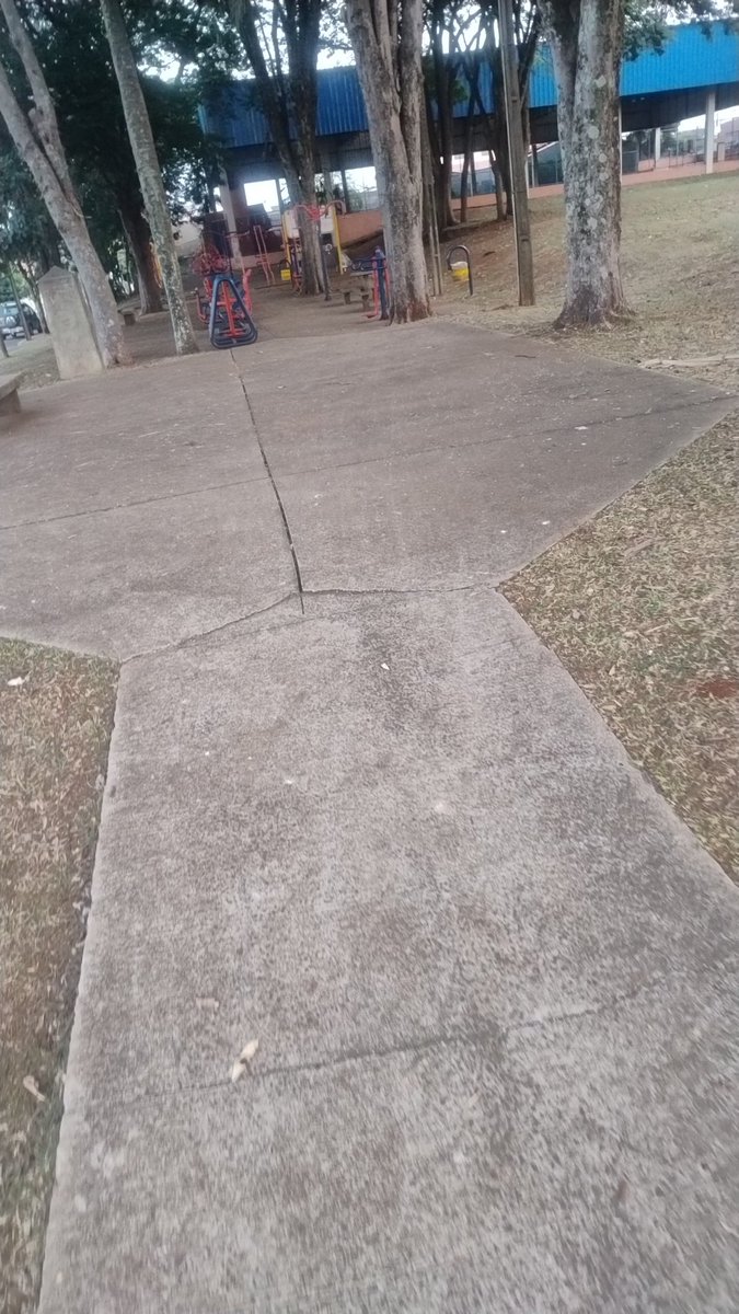 BOMA DIA BROXINHAS, ADM ESTÁ INDO A ESTUDAR