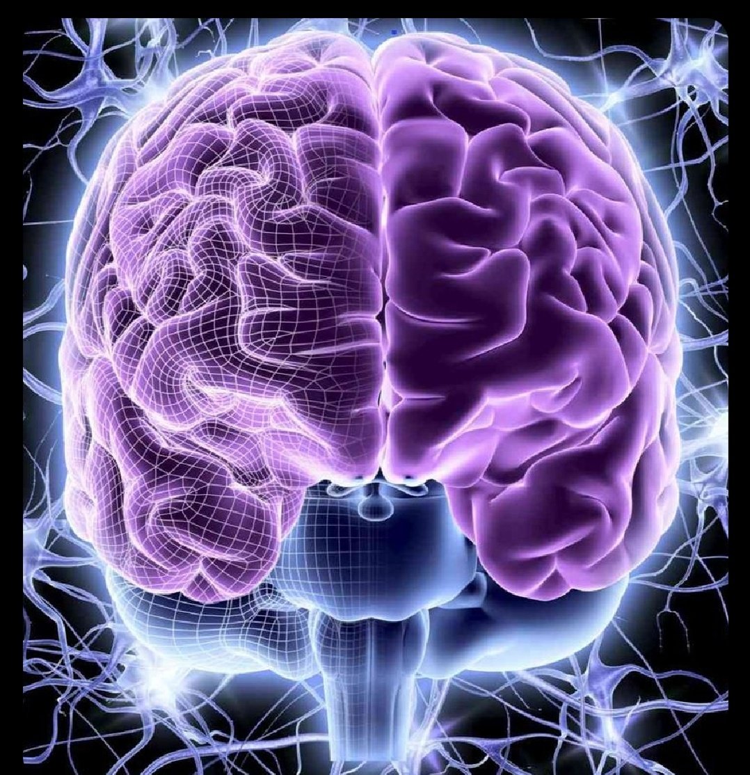 Your mind is your greatest asset.

But it's being overwhelmed by simulants around you.

Here are 6 proven hacks you can use to detox your mind: