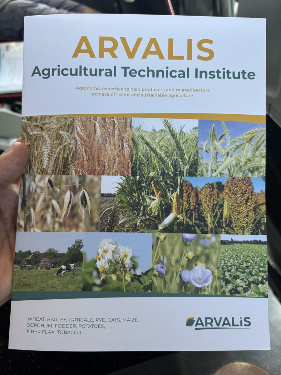 Paul O'Meehan tweet media