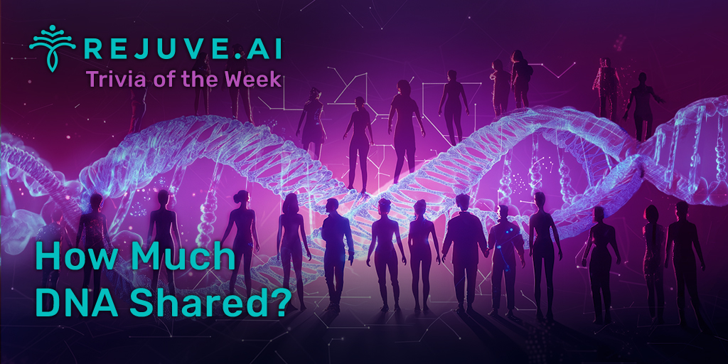Rejuve_AI's tweet photo. 🌟Trivia Quiz! 🌟

❓What percentage of DNA is shared between all humans?

A) 50% B) 75% C) 90% D) 99.9%

🏆 Enter to win 1,000 RJV!

Visit our Telegram group to enter, link in the profile. ☝️ https://t.co/NEBlfcLMjo