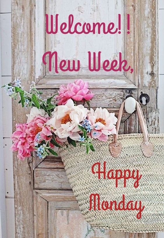 <a href="/geonelroma/">Gee Enne</a> Grazie George. Felice lunedì e buon pomeriggio.