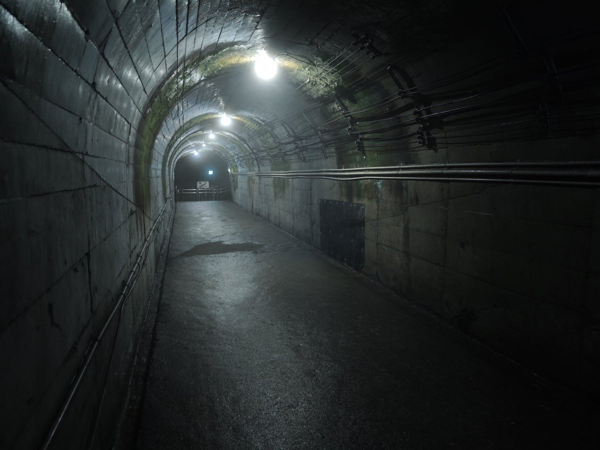 こたまる tweet media