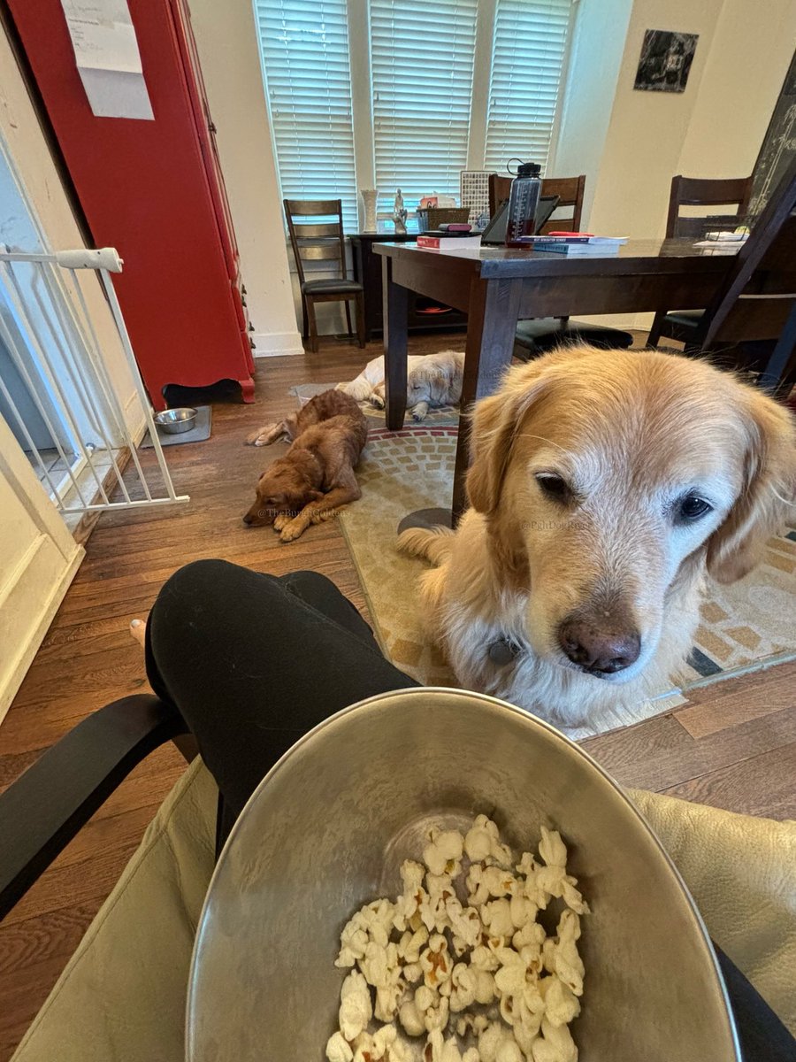 Walker & Ginger tweet media