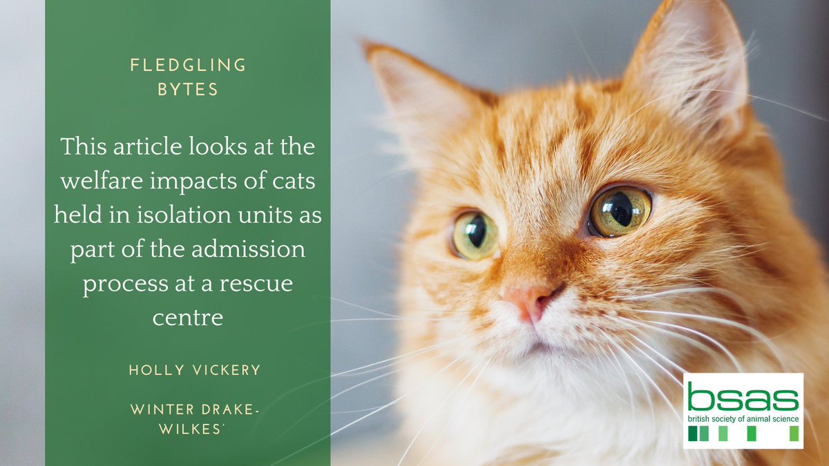 BSAS (@bsas_org) on Twitter photo This study focused on the welfare impacts of cats held in isolation units as part of the admission process at a rescue centre
Shortlisted for the BSAS 2023 Thesis of the Year Award by Winter Drake-Wilkes’ <a href="/AbWitCollege/">Abingdon & Witney College</a>.
📖bit.ly/3WALCk0 #animalscience This study focused on the welfare impacts of cats held in isolation units as part of the admission process at a rescue centre
Shortlisted for the BSAS 2023 Thesis of the Year Award by Winter Drake-Wilkes’ <a href="/AbWitCollege/">Abingdon & Witney College</a>.
📖bit.ly/3WALCk0 #animalscience
