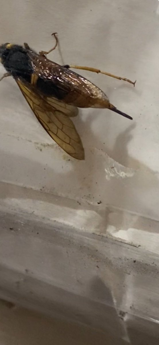 Andrew James tweet media