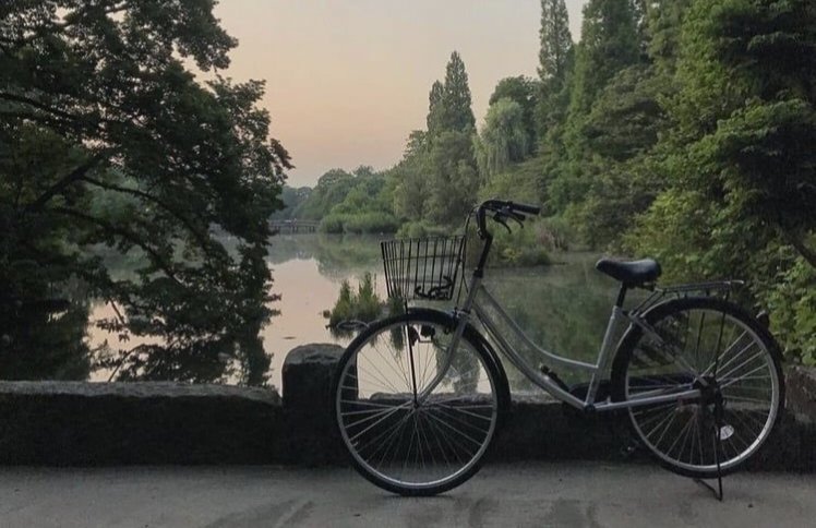 scarlettwants's tweet image. warm evening by the lake