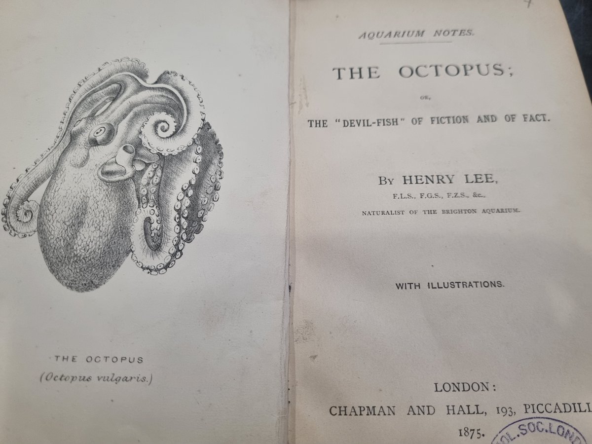 ZooLibrariANN's tweet photo. #MolluscMonday and I am taking some time for retro cataloguing. My first is such a perfect #book for today! "The octopus or the "devil-fish"of fiction and of fact" by Henry Lee in 1875. He was a #ZSLFellow working at Brighton #Aquarium. #lovemyjob https://t.co/4SwXcGjoyc