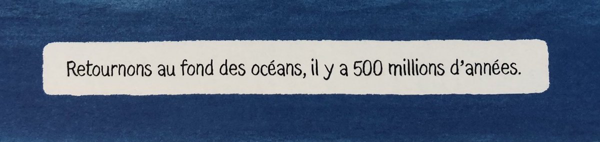 Noé Ciscki 🪼 tweet media