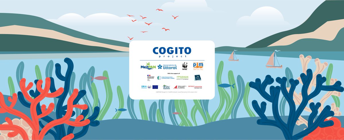 ZOOM ON COGITO🪸🪼🦑🐙🌳🌿🐚🐠

Discover how it helped pilot sites in 6 different countries to support &amp; consolidate the integrated management process in the #Mediterranean.

EN ➡️medpan.org/en/projects/pr…
FR  ➡️ medpan.org/fr/projects/pr…

#Conservation #biodiversity