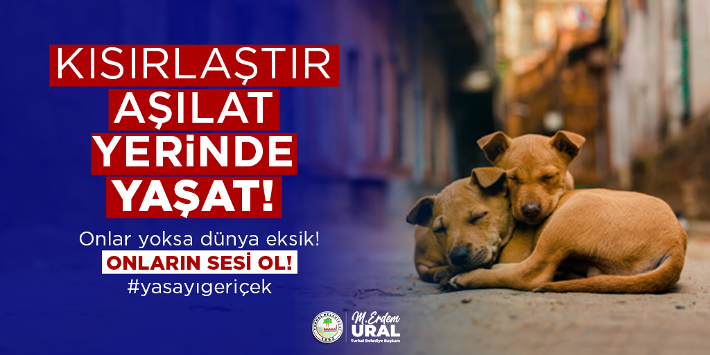 Sokak hayvanlarına dair kanunu, bilime ve vicdana aykırı buluyorum. Çözüm bellidir: kısırlaştır, aşılat, yerinde yaşat!