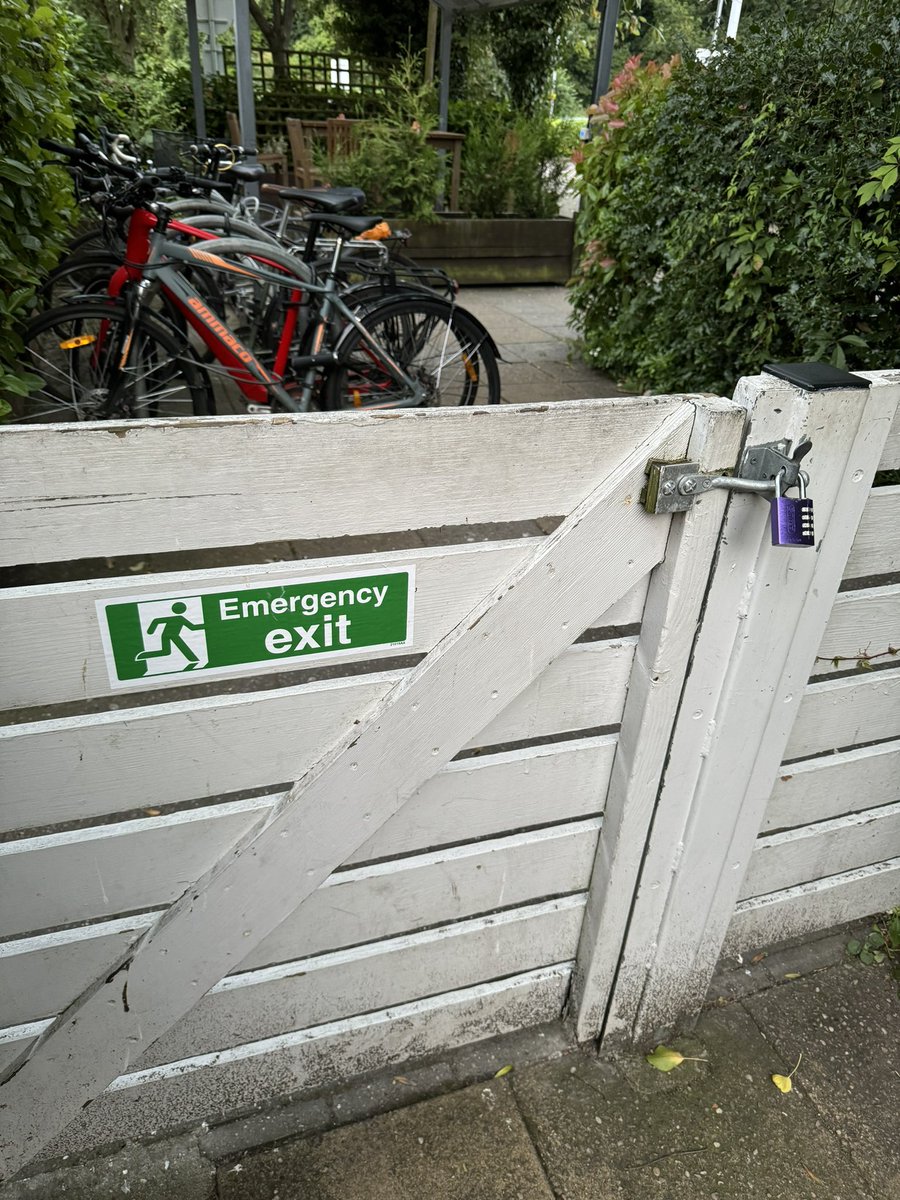 Brian Starkey tweet media