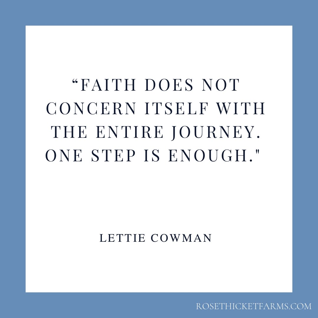 Rose Thicket Farms tweet media