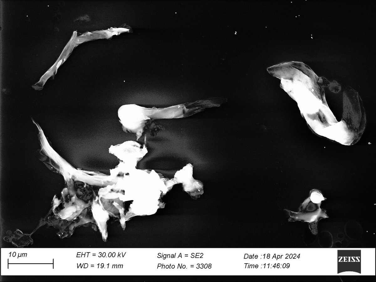 "NanoBeasts: Hidden Creatures of the Microscopic World" by Deepankar Sarmah (University of Basel)
Category "Scientific: object of study" in our NCCR SPIN Art and Science contest 2024.