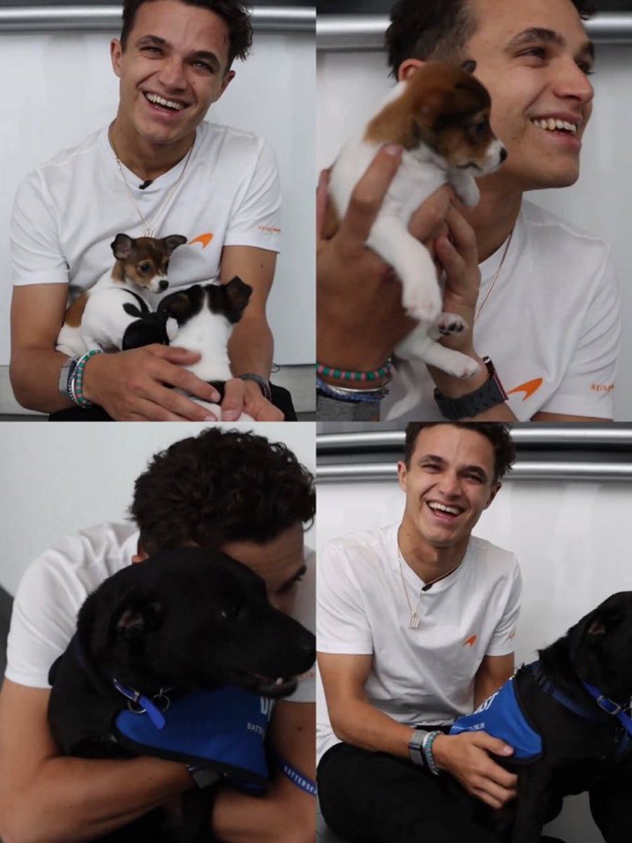 MY TWO FAVS 1.PUPPIES 2.LANDO NORIS