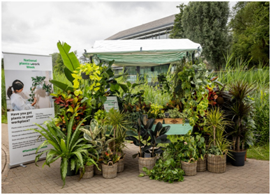 plants_atwork's tweet photo. Would you like to know what we have been up to during last month's National #PlantsAtWorkWeek #VitaminPlant campaign? Please have a look here https://t.co/wVdLwNKXBQ https://t.co/PAf5iOYeDB
