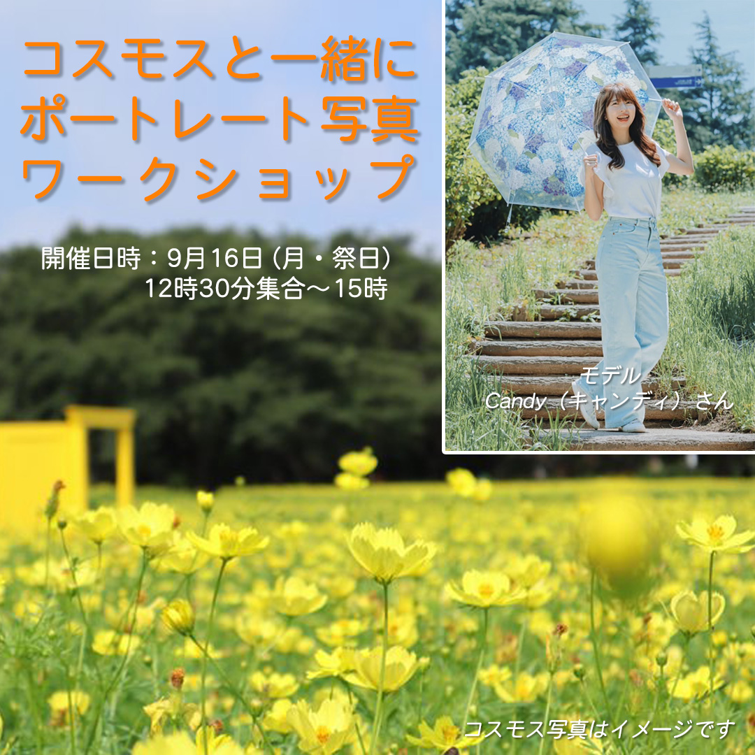 shimizuphotos's tweet photo. ポートレート撮影
ワークショップ開催
#ワークショップ
#写真教室
#撮影会
#ポートレート
#モデル
#秋桜
#コスモス
#こすもす
#Workshop
#Photo_shoot
#Portrait
#Model
#Cosmos
#ポートレート好きな人と繋がりたい
#ファインダー越しの私の世界
#写真で奏でる私の世界
#フォトジェニック
#ふぉと https://t.co/zPFFTyU4Zv