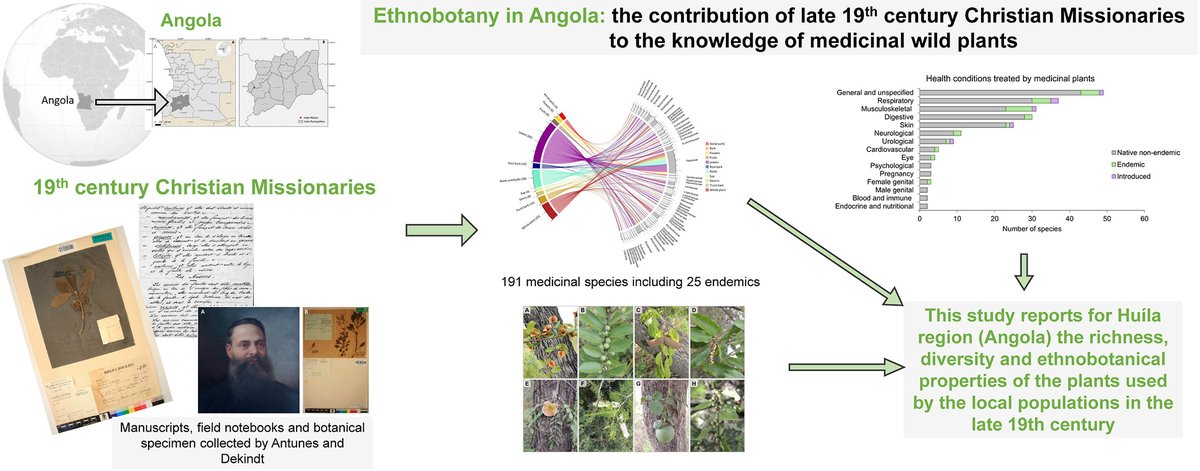 CEF - Centro de Estudos Florestais tweet media