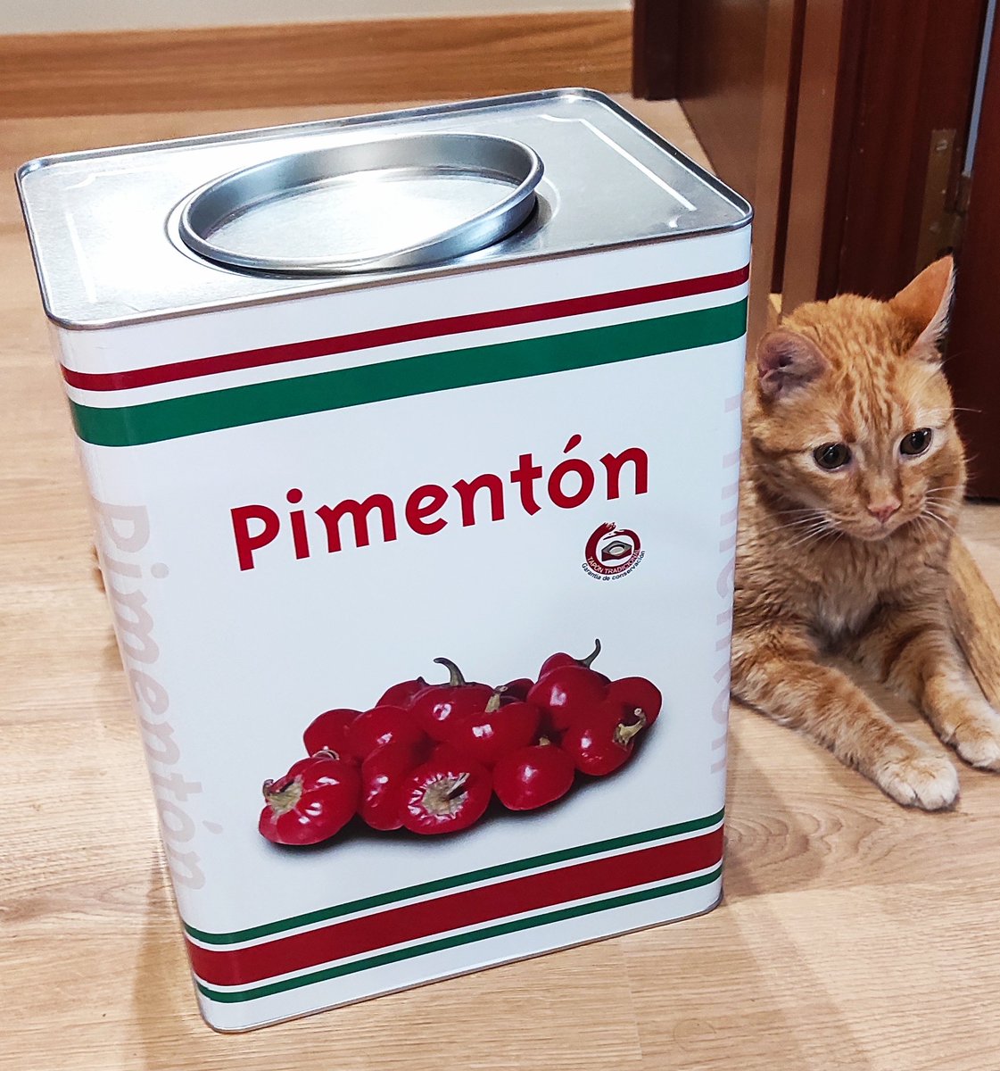 MarFriera's tweet photo. Regalazo. Gato pensando que ya era bastante aguantar la pandereta. @luigisalas https://t.co/JSMS6lyVmF
