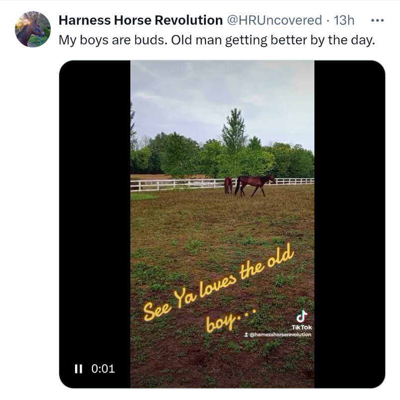 POS left elderly horses out in the blazing sun without water, hay, just dried up grass. They're not even his horses! #AnimalAbuser <a href="/peta/">PETA</a>